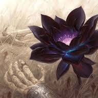 B1ackLotus