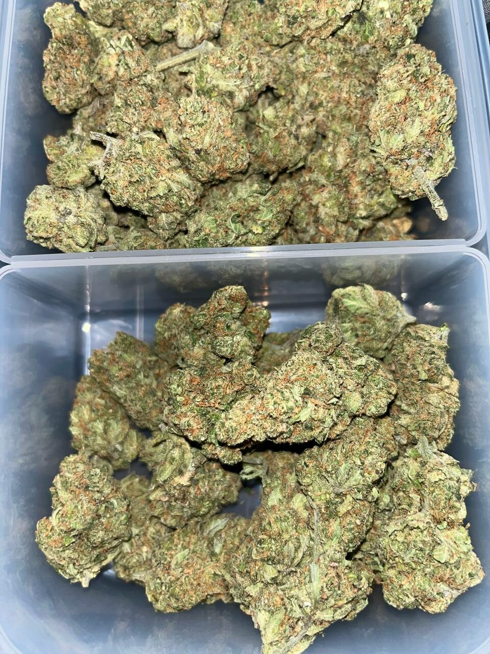 Haze Proof