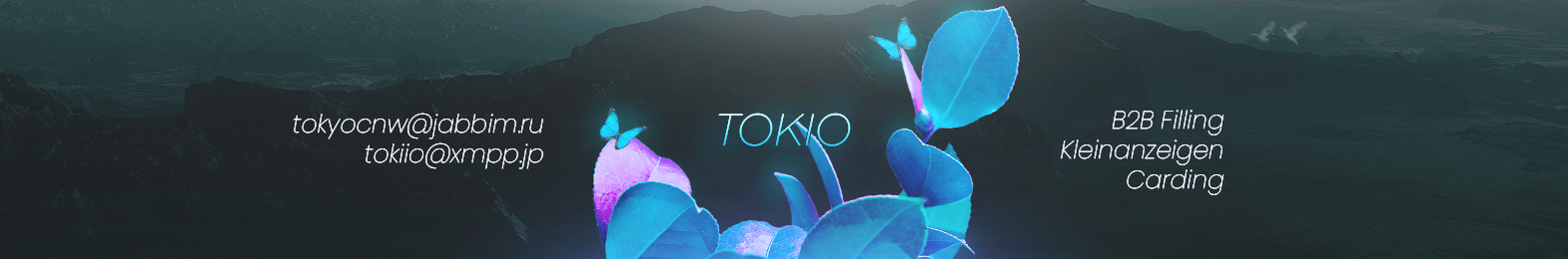 banner.png.b80f32936520b217cca54c93361d0729.png
