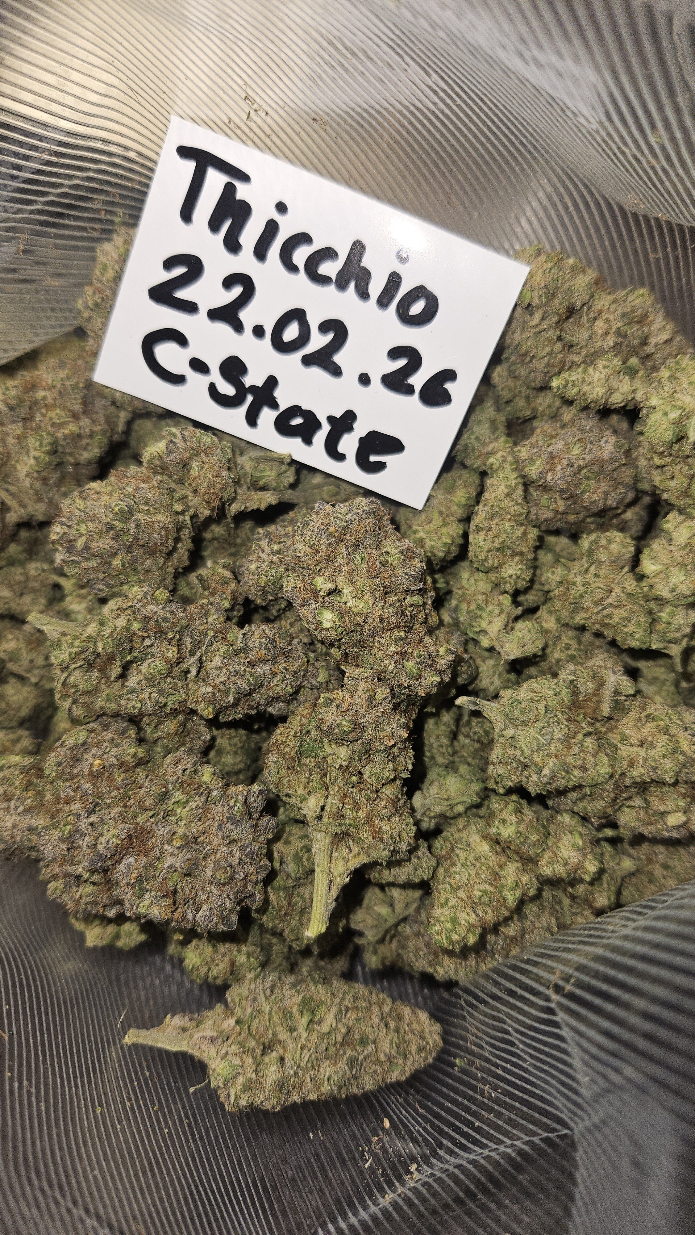 GirlScoutCookies_c-state.jpg.3c0ddd10ae7e777b0f6d2b4eb360c0e4.jpg