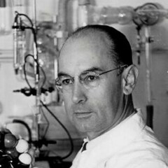 Dr.Hoffmann
