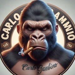 CarloGambini