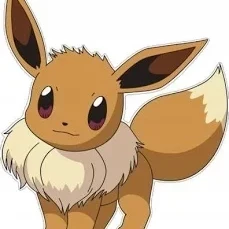 Gynaria