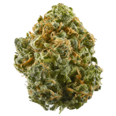 weedwien