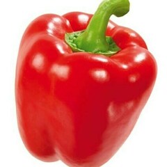 Paprika