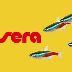 Sera